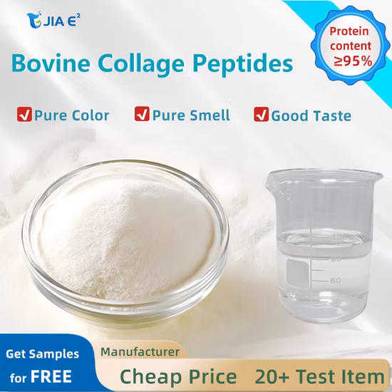 Reines Fischkollagenproteinpulver zur natürlichen Unterstützung der Gelenke