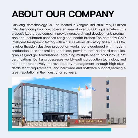 Veganes, pflanzliches Protein, Mahlzeitenersatz, Shake-Pulver, Mahlzeitenersatz zur Gewichtsreduktion, aromatisiert